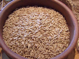 avena