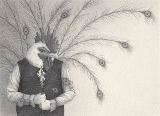 Stormo Kalandraka - pavone Stormo Kalandraka - pavone